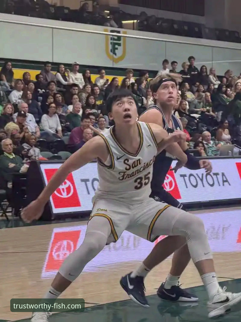 乐鱼安全吗 王俊杰爆发 vs 澳大利亚男篮:中国男篮杭州站胜利背后的深度分析,乐鱼体育平台用户怎么看?