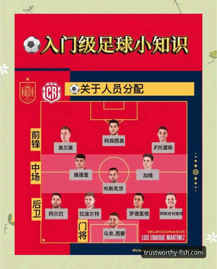 乐鱼体育最新版本 资深用户分享:乐鱼体育平台上的世界杯10大球星深度解读